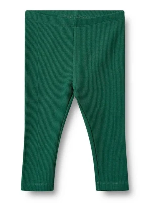 Spodnie legginsy Wheat zielony