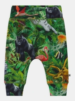 Spodnie legginsy Molo