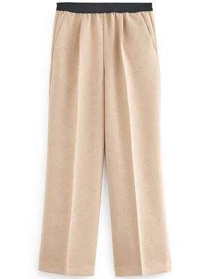 Spodnie materiałowe Next