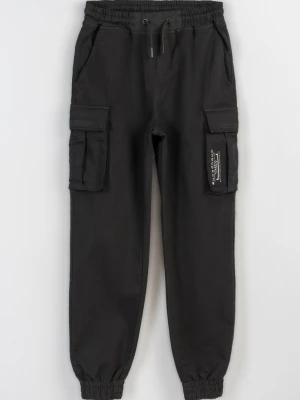 Spodnie materiałowe typu joggery z przestrzennymi kieszeniami Reporter