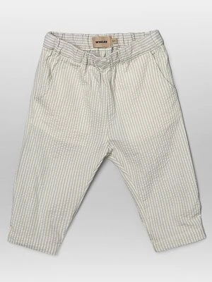 Spodnie materiałowe Wheat