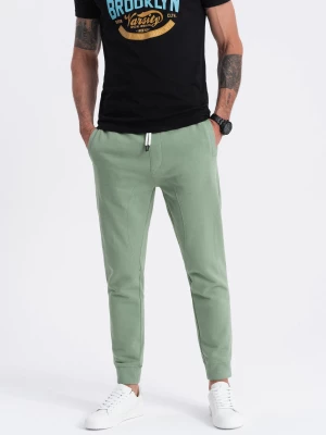 Spodnie męskie dresowe typu jogger - zielone V3 OM-PABS-0173
 -                                    L