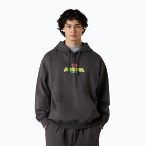Spodnie męskie The North Face Expedition Celebration Relaxed Jogger anthracite grey