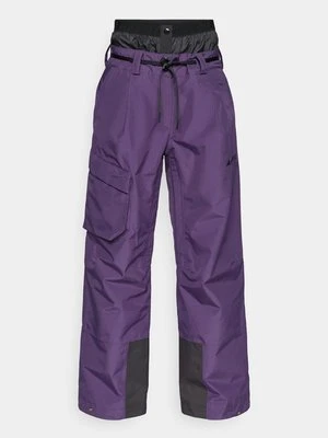 Spodnie narciarskie adidas Terrex