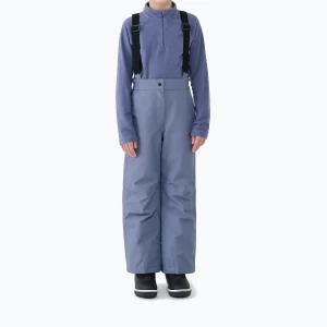 Spodnie narciarskie dziecięce 4F Fnk F0948 grey