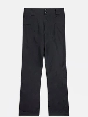 Spodnie narciarskie Patagonia