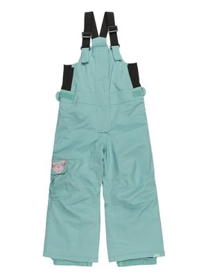 Spodnie narciarskie Roxy