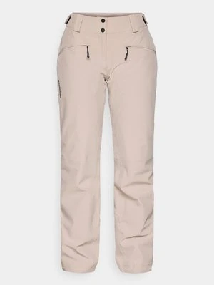 Spodnie narciarskie Salomon