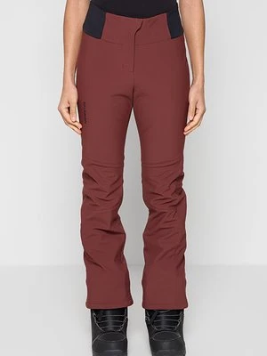 Spodnie narciarskie Salomon