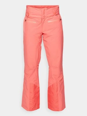 Spodnie narciarskie Spyder