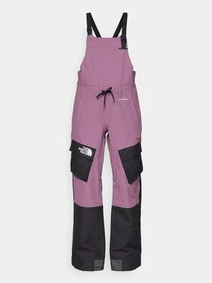 Spodnie narciarskie The North Face