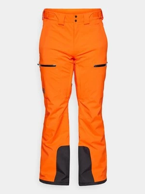 Spodnie narciarskie The North Face