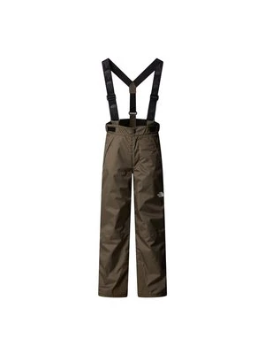 Spodnie narciarskie The North Face