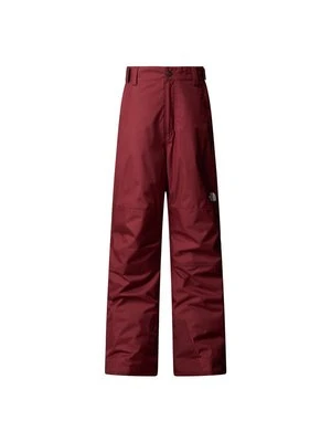 Spodnie narciarskie The North Face