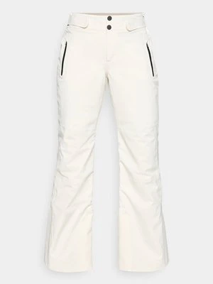 Spodnie narciarskie The North Face