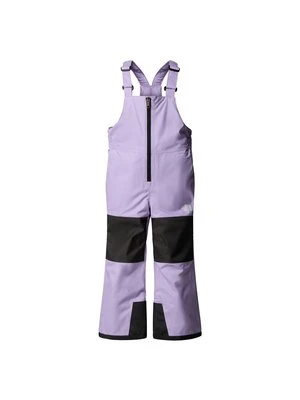 Spodnie narciarskie The North Face