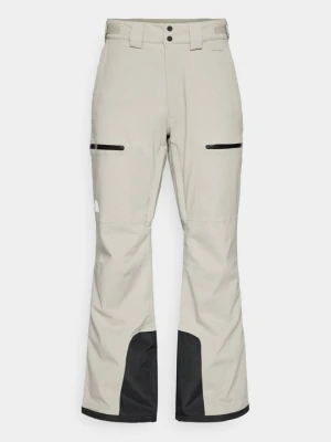 Spodnie narciarskie The North Face szary