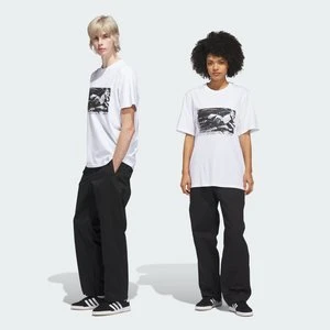 SPODNIE SKATEBOARDING CHINO Adidas