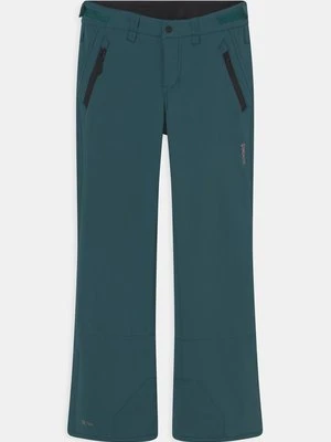 Spodnie śniegowe brunotti