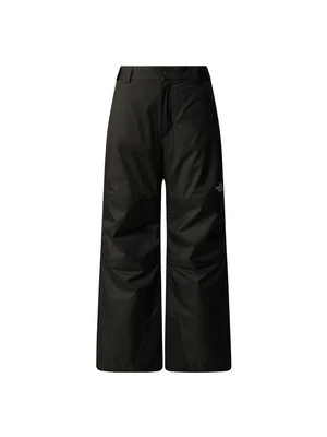 Zdjęcie produktu Spodnie śniegowe The North Face