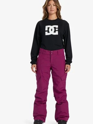 Spodnie snowboardowe DC Shoes