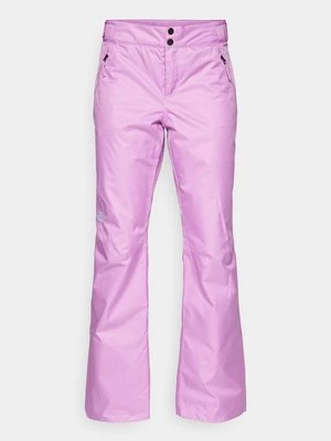 Spodnie snowboardowe The North Face