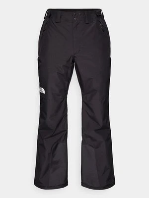 Spodnie snowboardowe The North Face