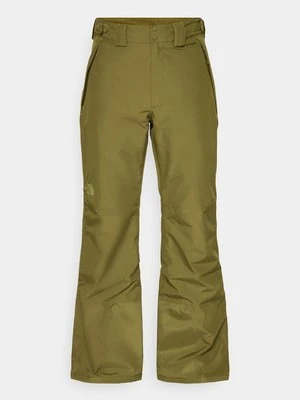 Spodnie snowboardowe The North Face