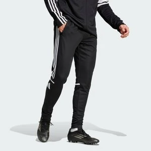 Spodnie Squadra 25 Training Adidas