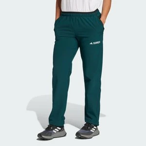 Spodnie Terrex Multi Liteflex Adidas