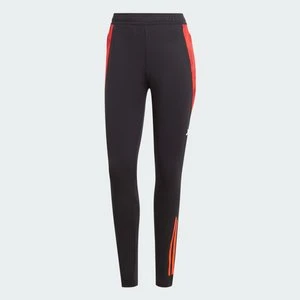 Spodnie Tiro 24 Competition Training Adidas
