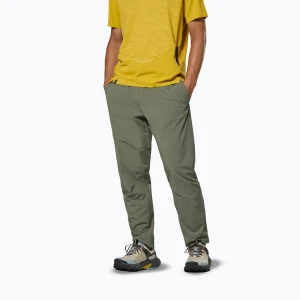 Spodnie trekkingowe męskie Salewa Pedroc 3 DST Light faded green