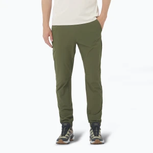 Spodnie trekkingowe męskie Salomon Wayfarer Ease grape leaf Zielony
