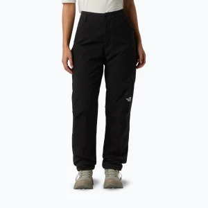 Spodnie zimowe męskie The North Face Winter Exploration Reg Tapered Cargo black