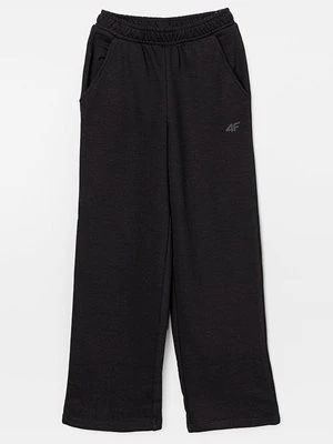 Spodnie treningowe 4F