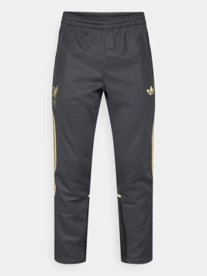 Spodnie treningowe Adidas antracytowy
