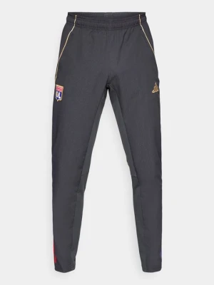 Spodnie treningowe Adidas antracytowy