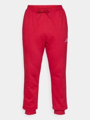 Spodnie treningowe Adidas bordowy