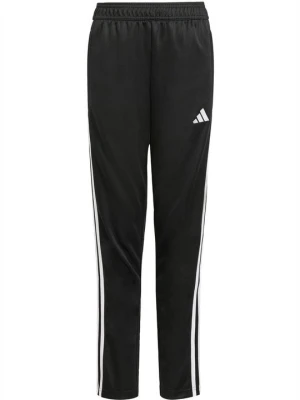 Spodnie treningowe Adidas czarny