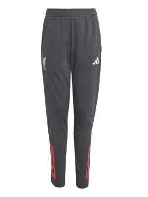 Spodnie treningowe Adidas czarny