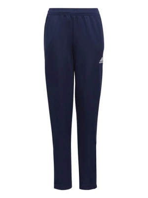 Spodnie treningowe Adidas granatowy
