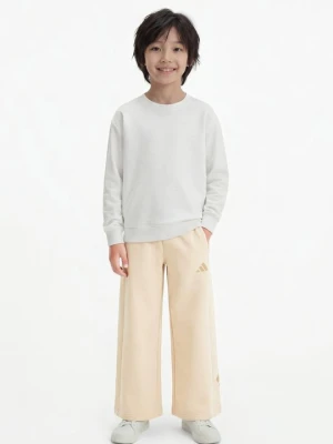 Spodnie treningowe Adidas khaki