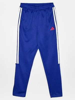 Spodnie treningowe adidas Originals