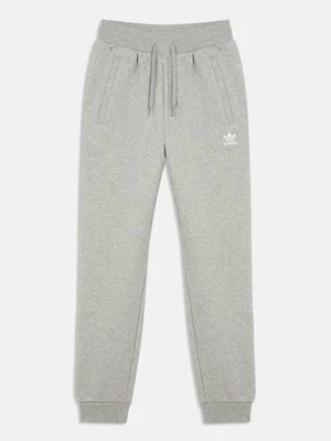 Spodnie treningowe adidas Originals