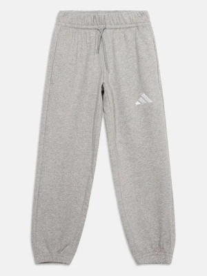 Spodnie treningowe adidas Originals szary
