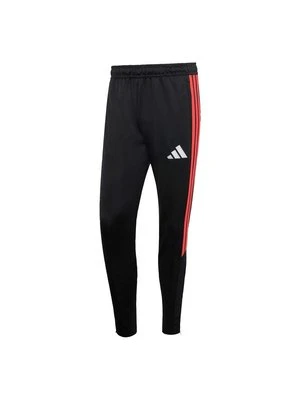 Spodnie treningowe Adidas czarny