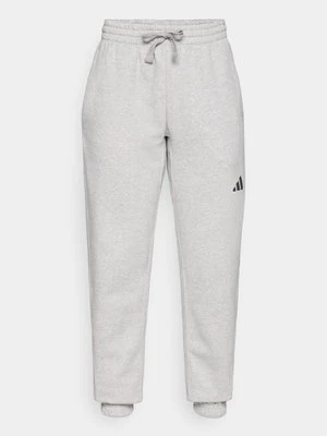 Zdjęcie produktu Spodnie treningowe adidas Sportswear