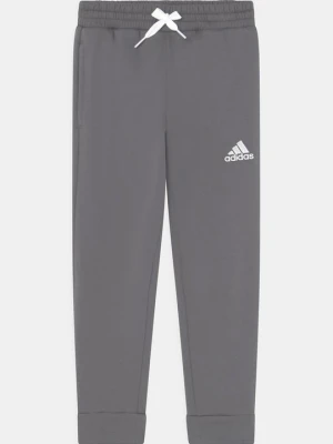 Spodnie treningowe Adidas szary