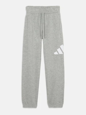 Spodnie dresowe Adidas szary