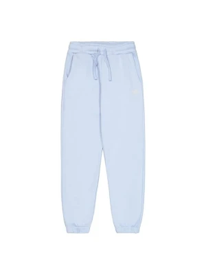 Spodnie treningowe Alpha Industries niebieski